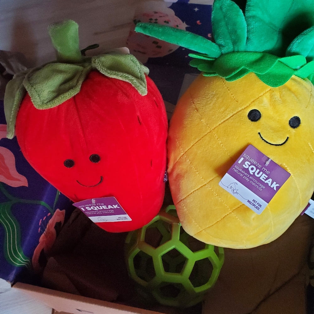 Plush Strawberry and Pineapple Dog Toy Set